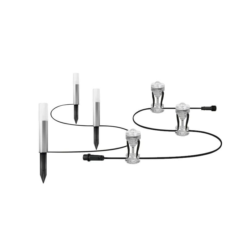 Have spots 